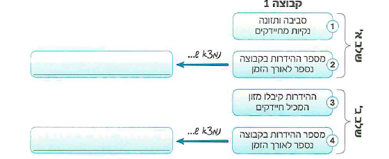 (בספר תמונה - כתבה מעיתון)